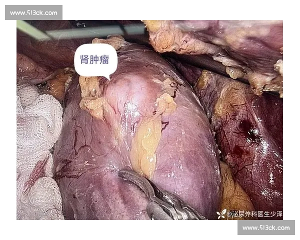 从肾癌病房到商业帝国:韦德如何用三重身份重塑人生